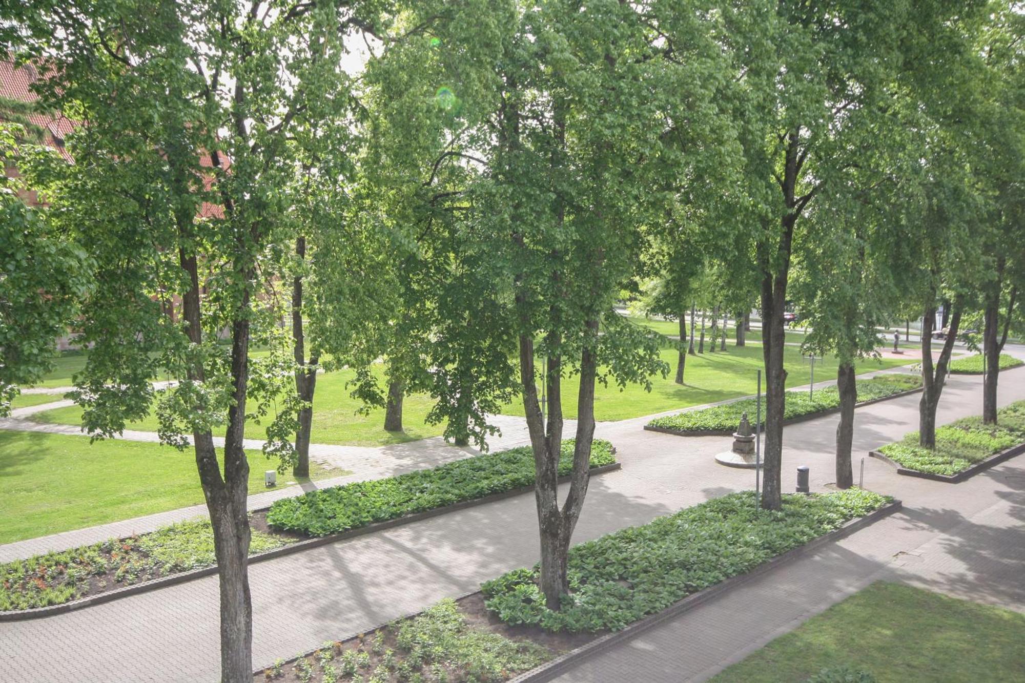 Apartamentai Vilniaus Alejoje Druskininkai Exteriér fotografie